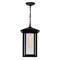Cwi Lighting Crawford 1 Light Black Outdoor Hanging Light 0417P9-1-101 - alternate 5